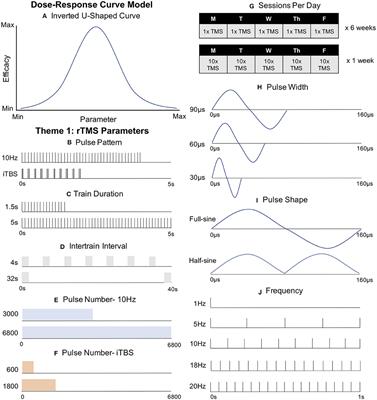 The Problem and Potential of TMS' Infinite Parameter Space: A Targeted Review and Road Map Forward